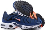 Nike Air Max TN 8909-390